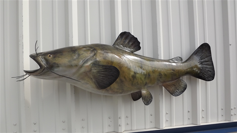 799x450 52 Flathead Catfish Fish Mount Two Sided Wall Mount Fish Replica - Flathead Catfish Painting