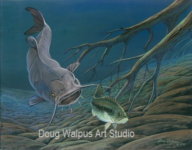 375x293 Images Of Flathead Catfish Painting - Flathead Catfish Painting