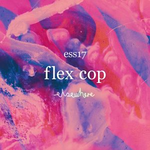 300x300 Ess17 Flex Cop 07.09.17 - Flex Painting