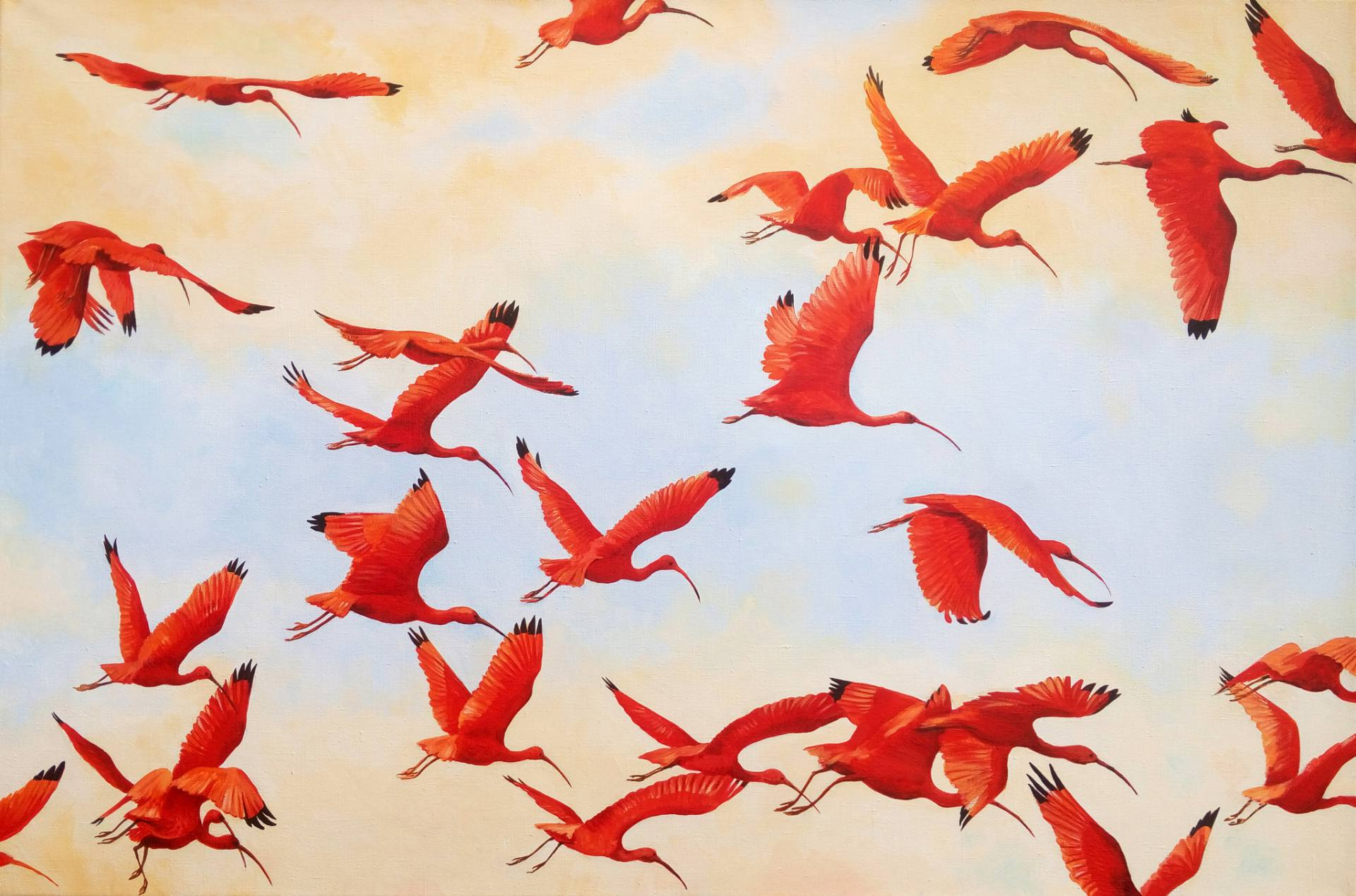 1920x1270 Flock Of Birds Painting Saatchi Art Flying Scarlet Ibises Red - Flock Of Birds Painting