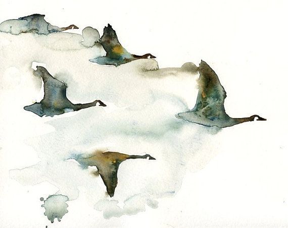 570x452 Squirrel, Animal Painting,original Watercolor Painting 10x8inch - Flock Of Birds Painting