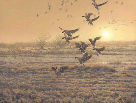 540x407 Wildlife Paintings - Flock Of Birds Painting