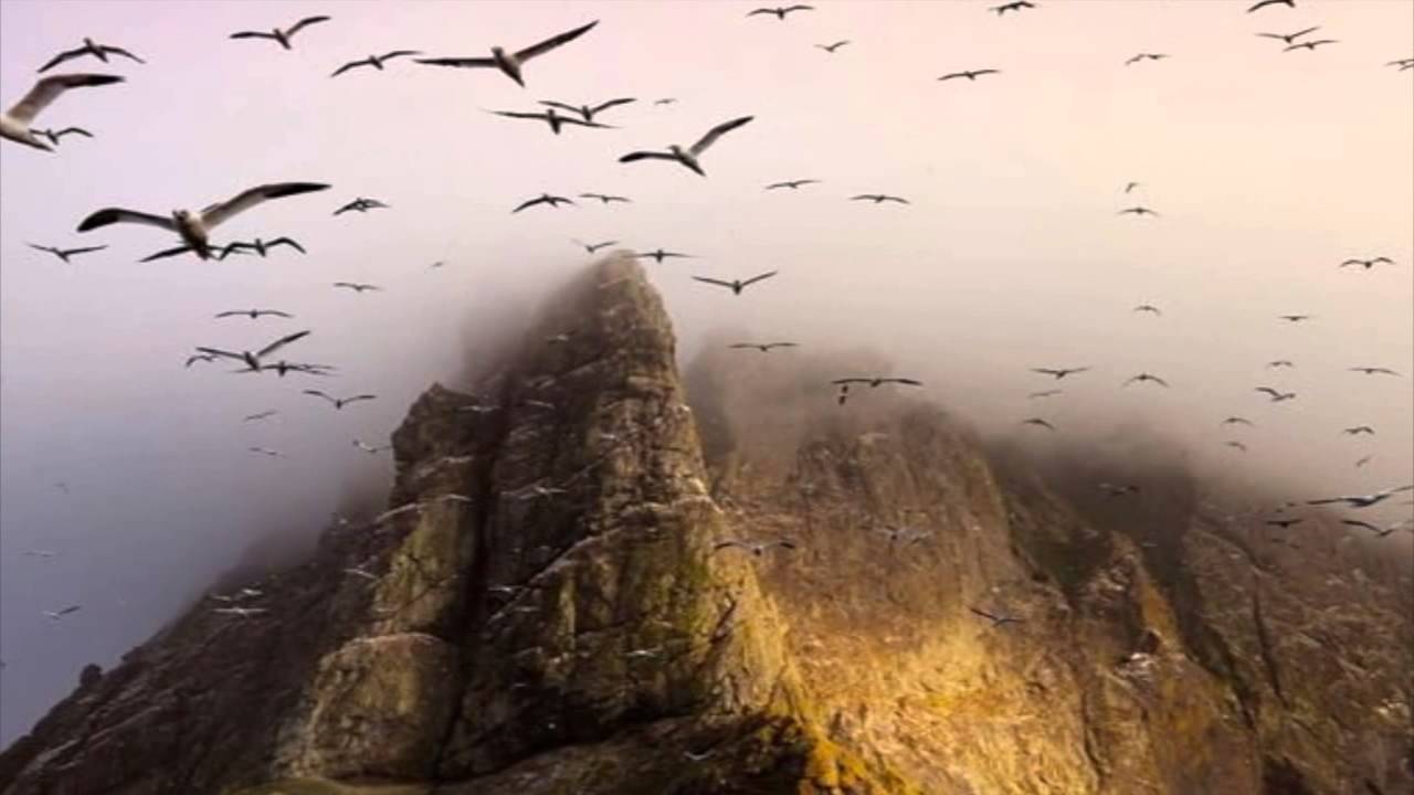 1280x720 Birds In A Summer Fly - Flock Of Birds Painting