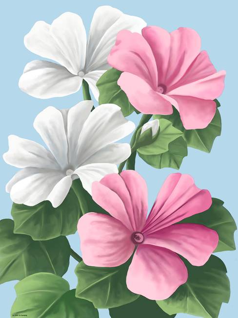 488x650 Floral Painting By Pixel Paint Studio - Floral Painting