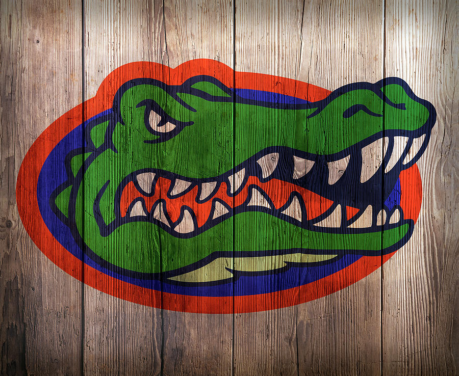 900x738 Florida Gators Logo On Barnwood Digital Art By Daniel Hagerman - Florida Gators Painting