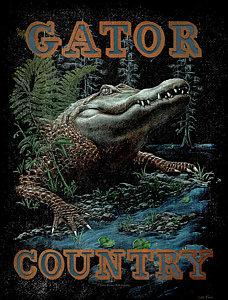 228x300 Florida Gators Paintings Fine Art America - Florida Gators Painting