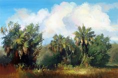 236x157 62 Best Florida Landscape Paintings Images - Florida Landscape Painting