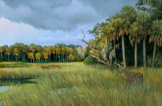 675x441 Paintings By Chas Rowe - Florida Landscape Painting