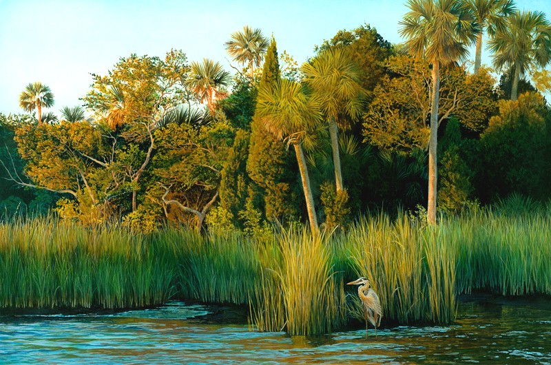 800x530 Charles Rowe Florida Wildlife And Landscape Artist - Florida Landscape Painting