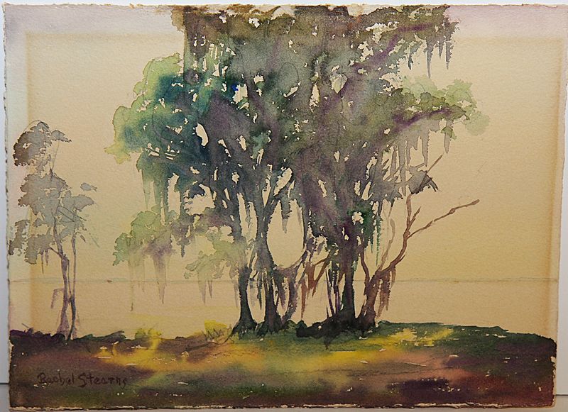 800x581 Original Watercolor Painting, Coastal Florida, Ilfl Artist Rachel - Florida Painting