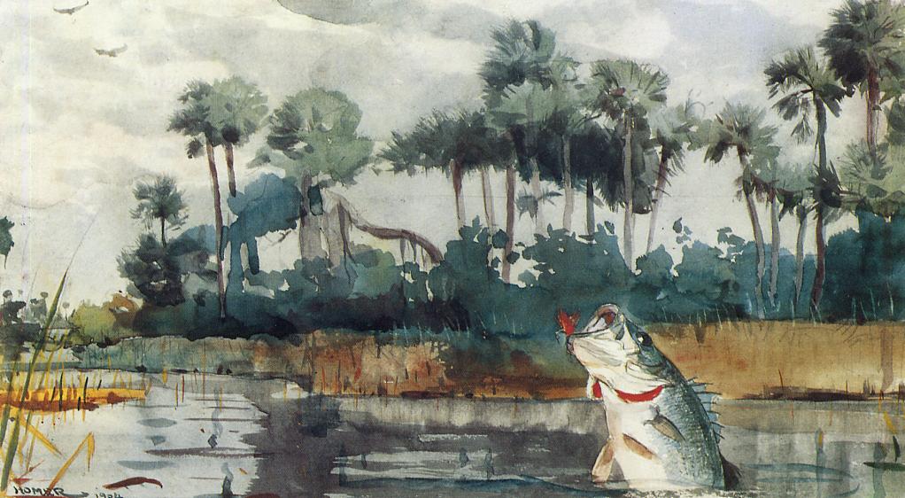 1022x562 Black Bass Florida Painting Winslow Homer Oil Paintings - Florida Painting