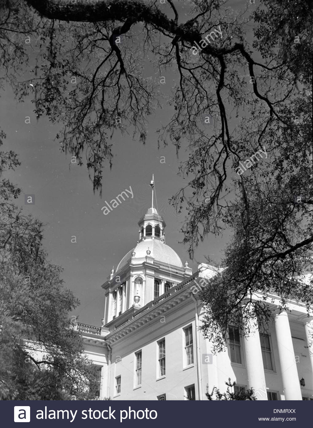1019x1390 Steeplejack M.e. Keith Painting The Flagpole Atop The Florida - Florida State Painting