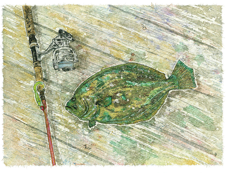 900x684 Flounder Landing Painting By Nick Cantrell - Flounder Painting