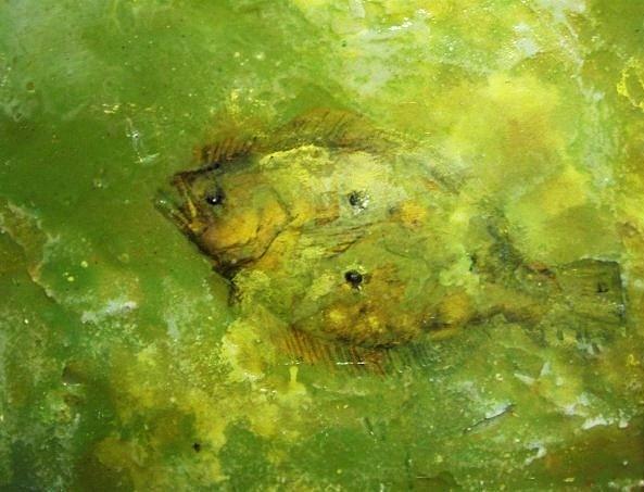 593x453 Flounder Painting By Robert Cunningham - Flounder Painting