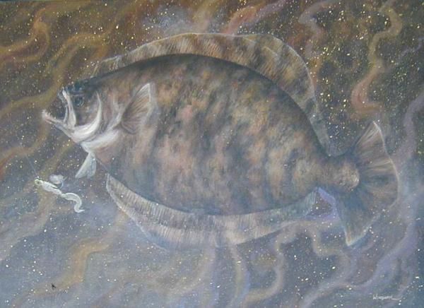 600x436 Beautiful Painting Of A Flounder Under Water Photography - Flounder Painting