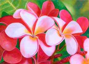 288x206 Hawaii Plumeria Flowers Art Paintings For Sale Hawaiian Plumeria - Flower Art Painting