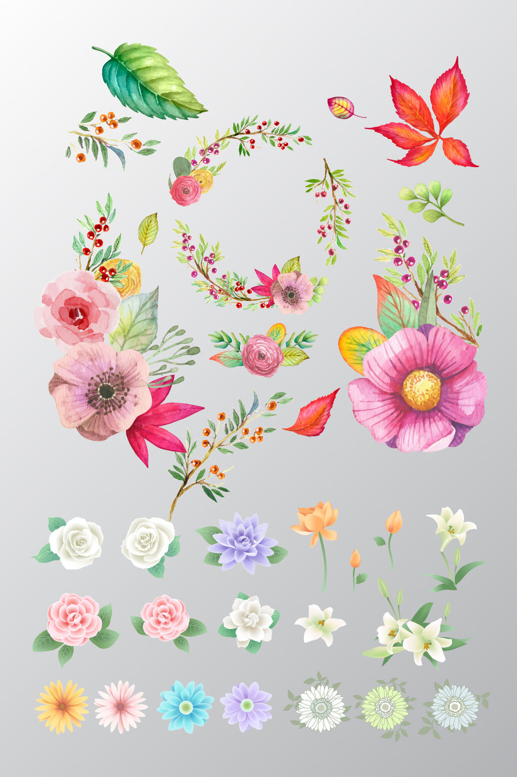 Flower Border Painting