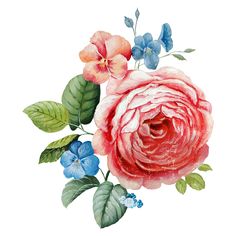 236x236 Hibiscus Flower Border Clip Art - Flower Border Painting