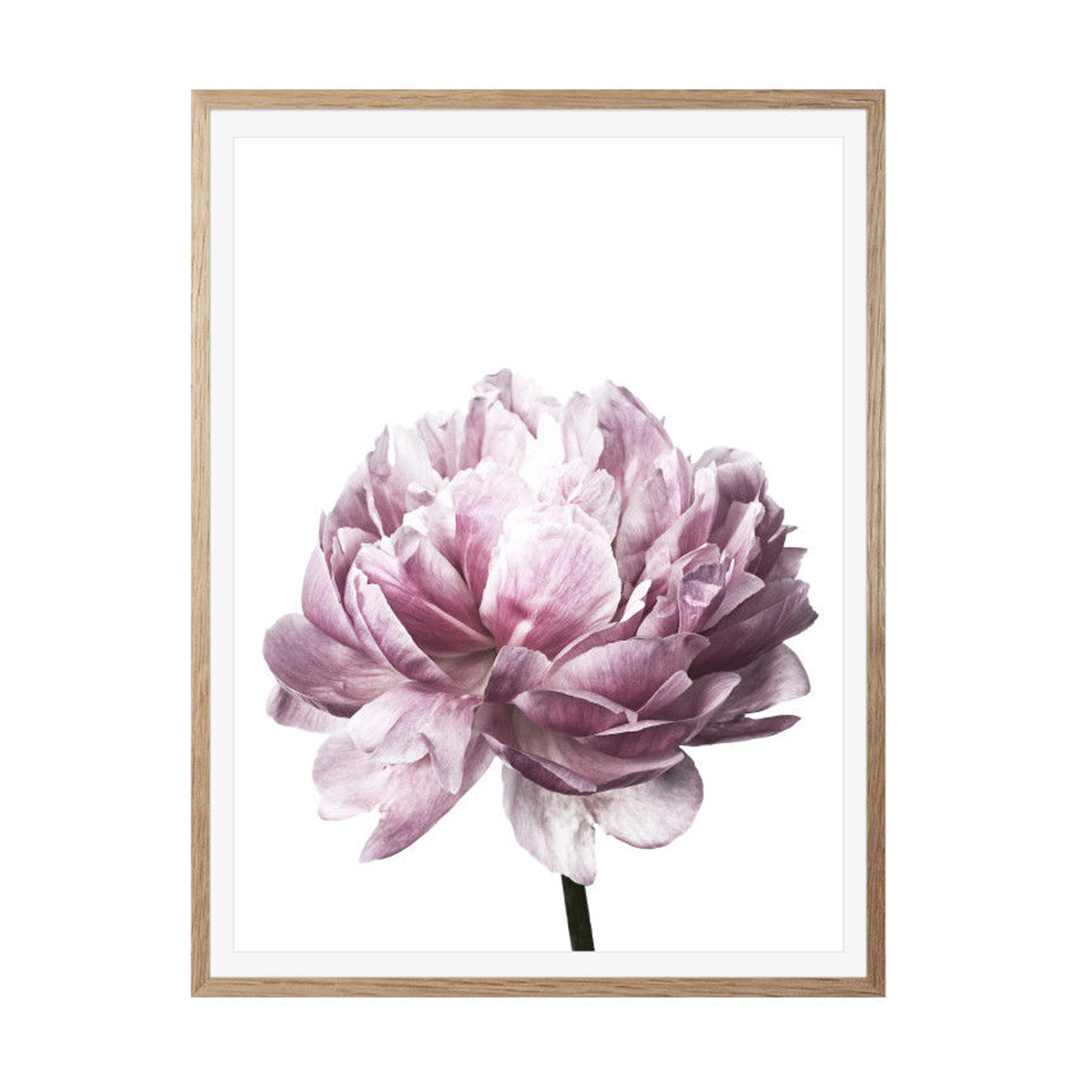 1200x1200 Peony Flower Wall Art Canvas Painting Picture Home Decor Mural - Flower Frame Painting