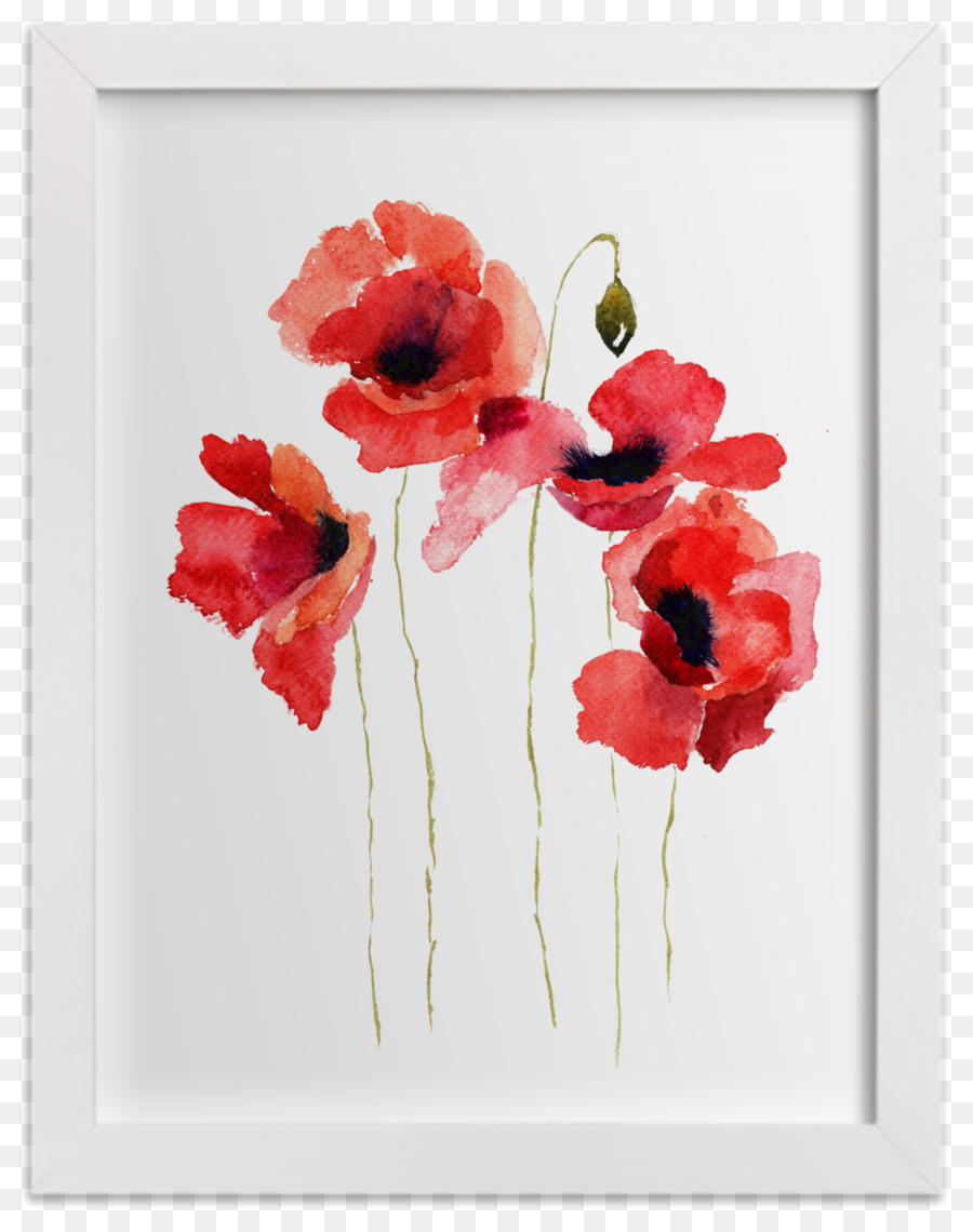 900x1140 Common Poppy Watercolor Painting Flower - Flower Frame Painting