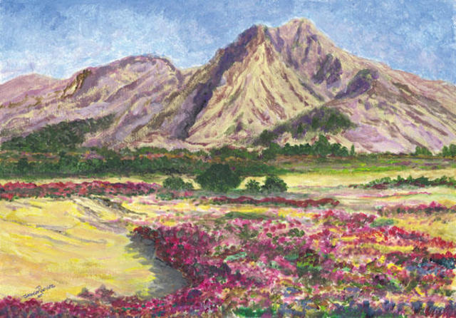 640x446 James Parker Artwork Flower Mountain Meadow Original Painting - Flower Landscape Painting