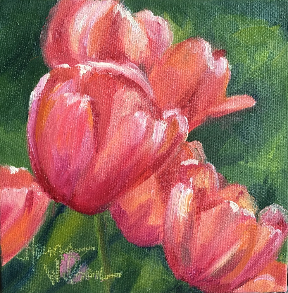 985x1000 Norma Wilson Original Oil Pink Tulip Floral Flowers Garden - Flower Landscape Painting