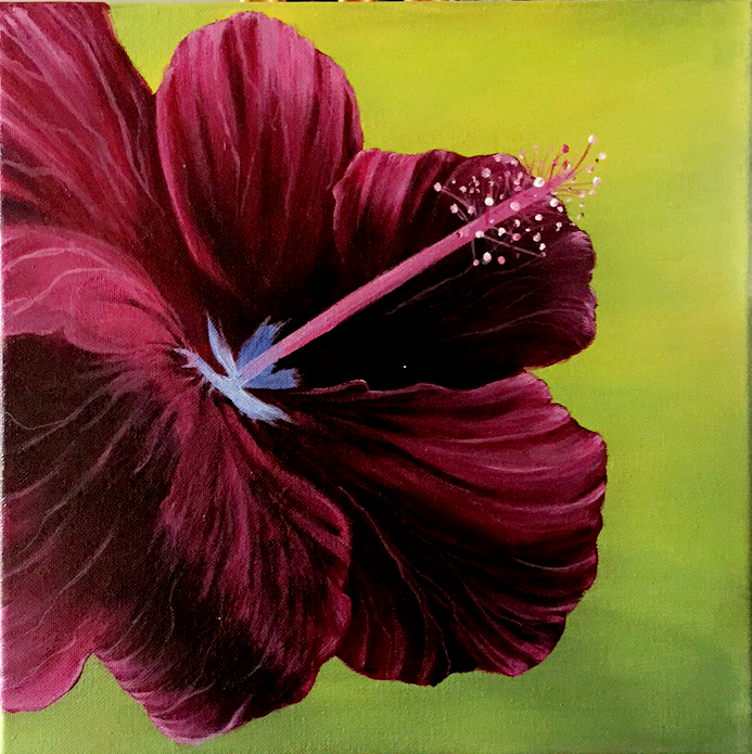 693x695 Hibiscus Flower Canvas Art Acrylic Painting - Flower Painting