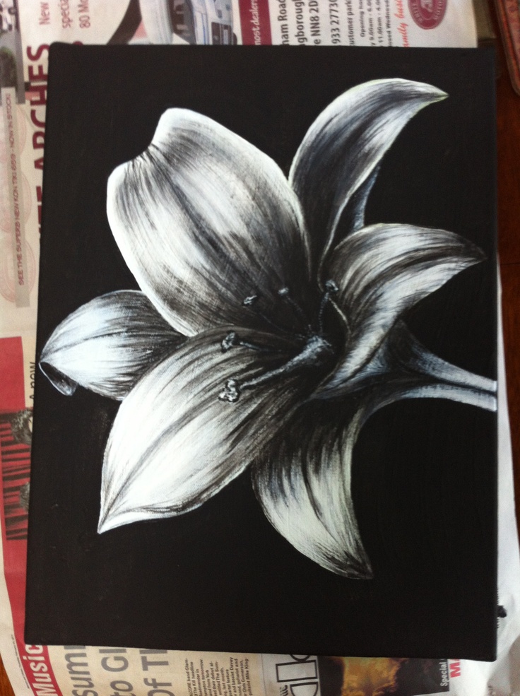 736x985 The 654 Best Paint Images On Painting Abstract - Flower Painting Black And White