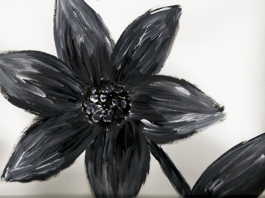 900x673 Black And White Flower By Derpykittykat - Flower Painting Black And White