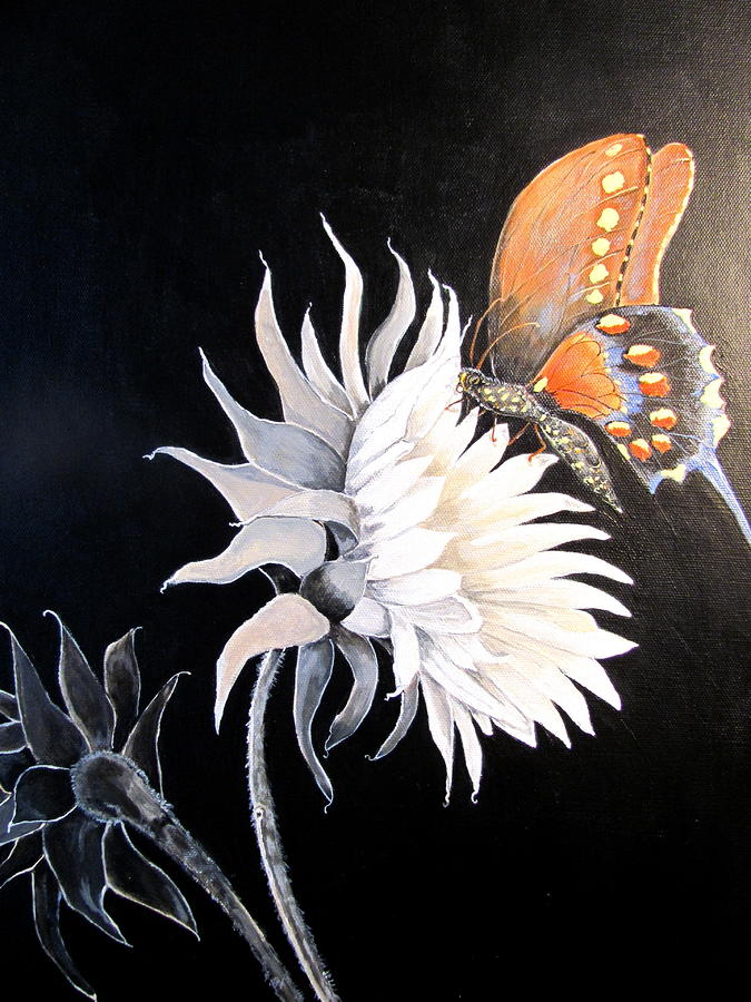 675x900 Butterfly On Black White Flower Painting By Sue Ervin - Flower Painting Black And White