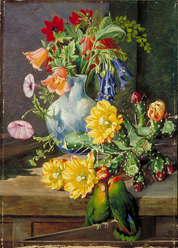 360x500 Kew Marianne North Gallery Painting 504 Group Of Flowers - Flower Painting Gallery