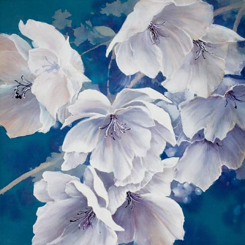 500x500 Maggie Thompson Gallery Flower Paintings 2007 - Flower Painting Gallery