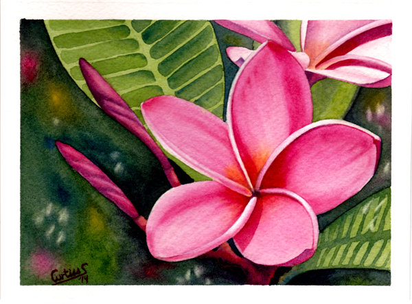 600x443 Tags - Flower Painting Gallery