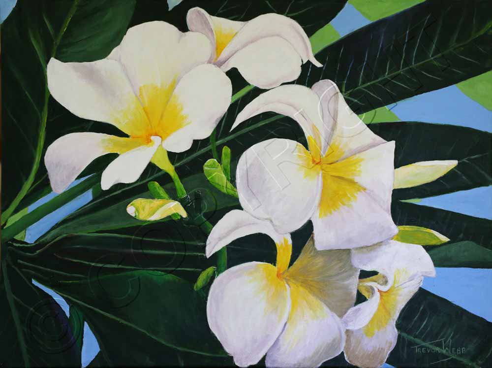 1000x747 Flower Paintings Art For Sale Art Brisbane Artist Oil - Flower Painting Images