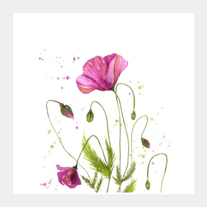 700x700 Watercolor Pink Poppy Flower Painting Botanical Square Art Prints - Flower Painting Images
