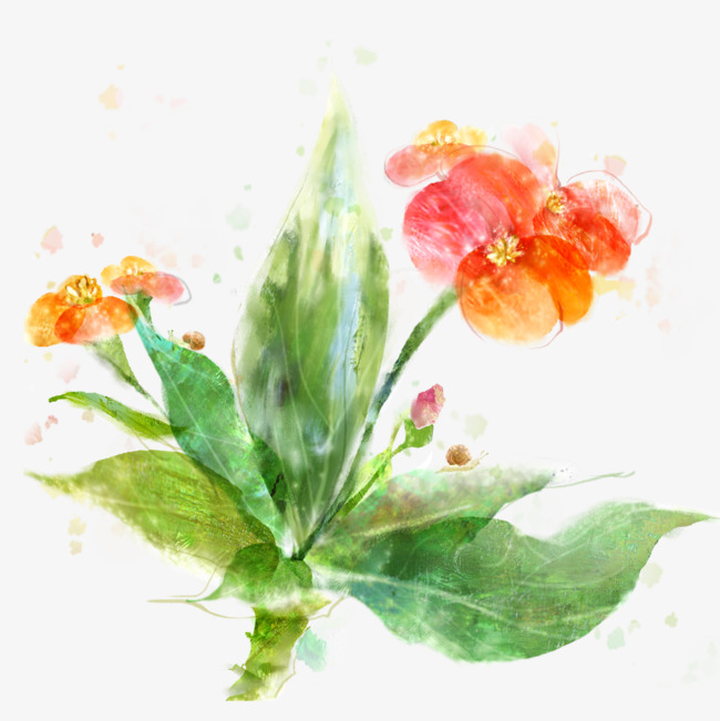 650x651 Graffiti Flowers, Pattern, Painting, Graffiti Png Image - Flower Pattern Painting