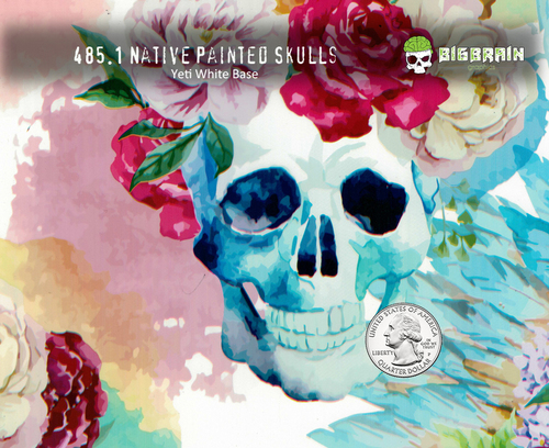 500x408 Native Painted Skulls Skull Flower Girly Feminine Film 100 Cm - Flower Pattern Painting