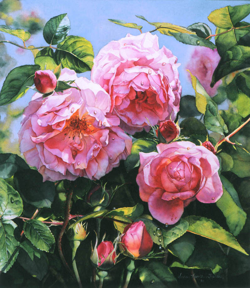 797x916 Flower Amp Rose Paintings In Watercolor Amp Oil Fine Art Susan - Flower Picture Painting