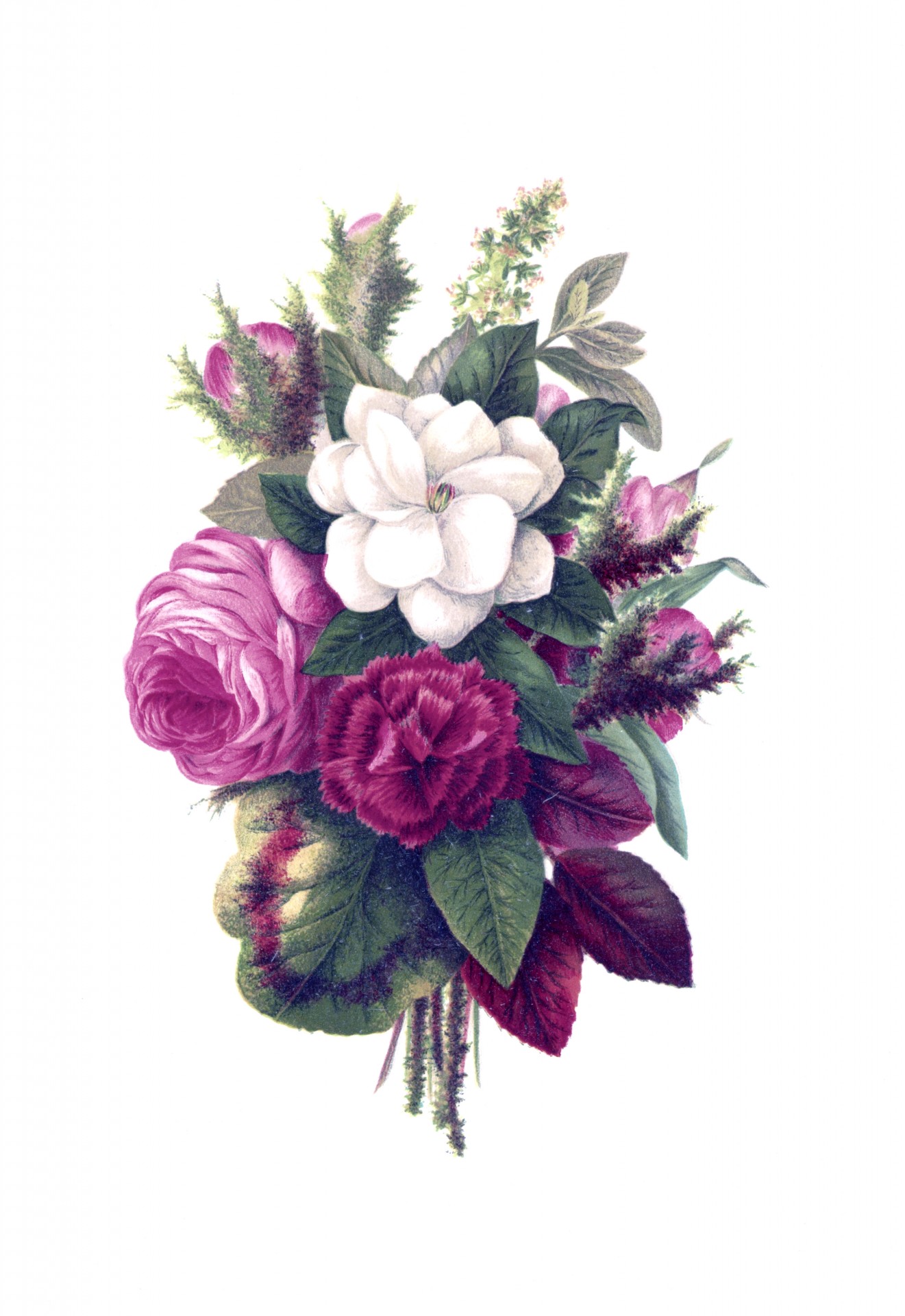 1321x1920 Flowers, Roses Amp Pinks Painting Free Stock Photo - Flower Picture Painting