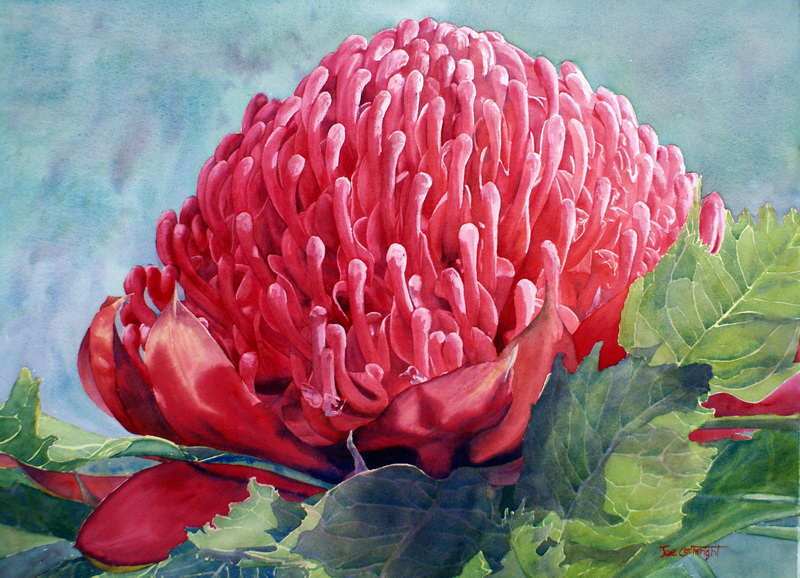 800x578 Watercolor Paintings Flowers Gallery.watercolour Flowers. - Flower Picture Painting