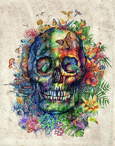 236x300 Flower Skull Paintings Pixels - Flower Skull Painting