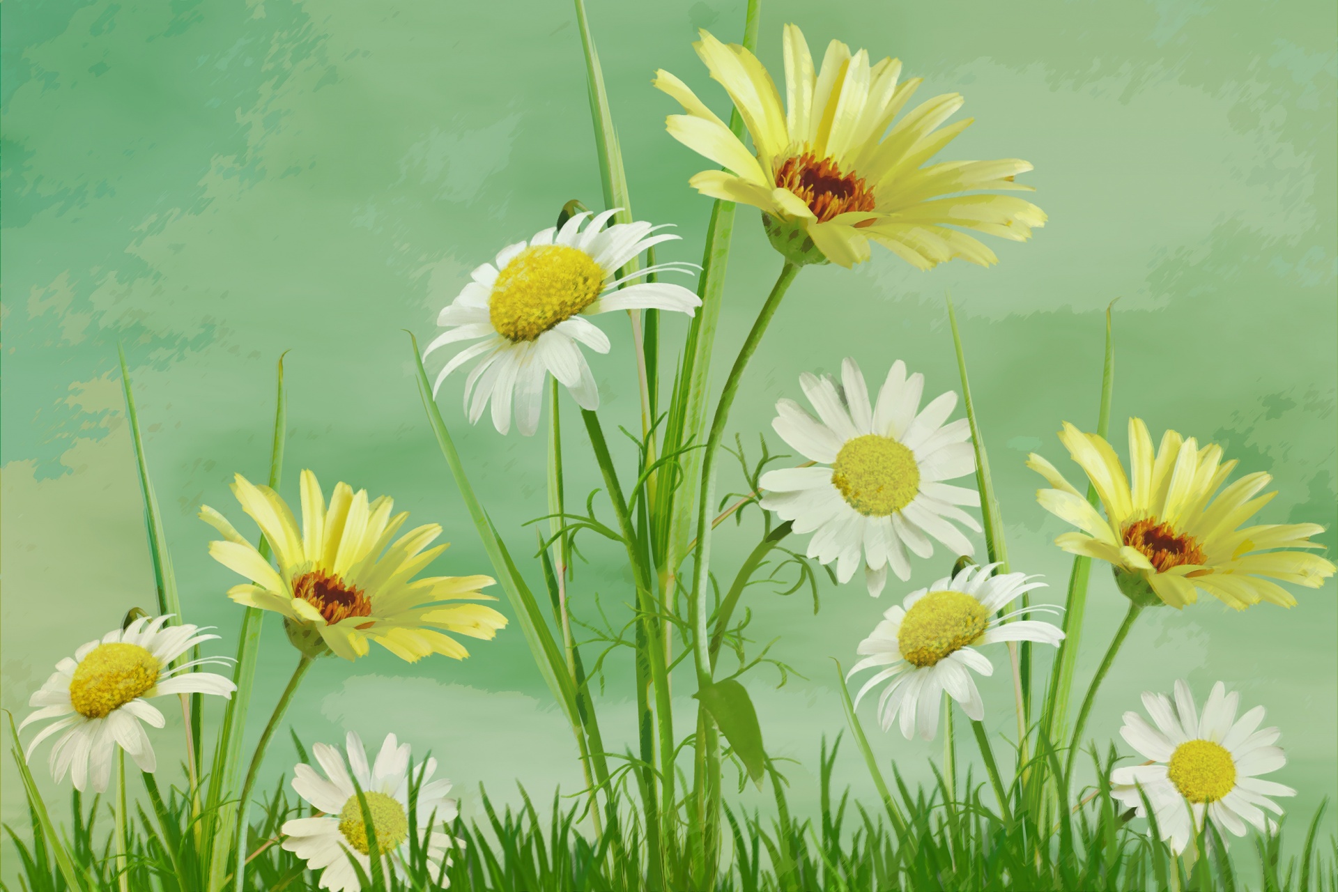 1920x1280 Daisy Flowers Painting Free Stock Photo - Flowers Painting Pictures