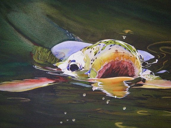 600x450 Flyfishing Fine Art By Diane Michelin - Fly Fishing Painting