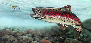 300x143 Rainbow Steelhead Trout Painting Washington State Fish Fly Fishing - Fly Fishing Painting