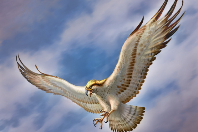 640x427 Home Decoration Art Flying Bird Hawk Sky Wings Wild Animal Paint - Flying Bird Painting