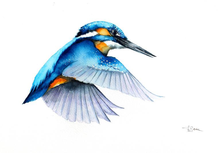 770x535 Saatchi Art Flying Kingfisher (Alcedo Atthis) Painting By - Flying Bird Painting