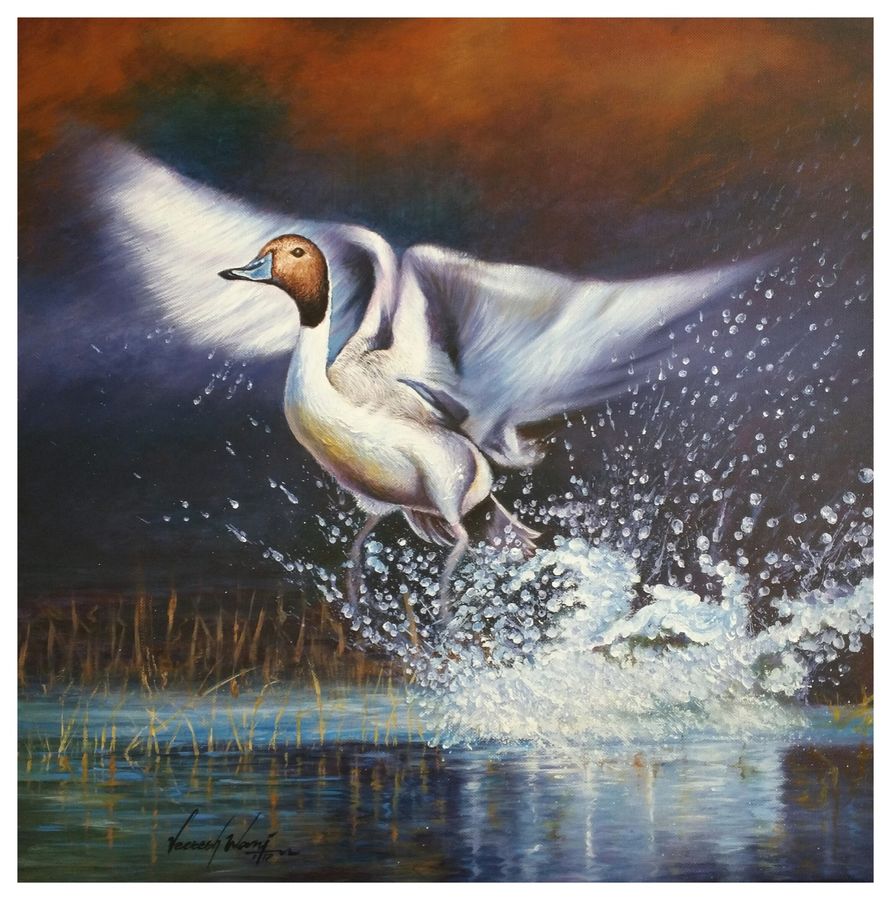 Flying Duck Painting at Explore collection of
