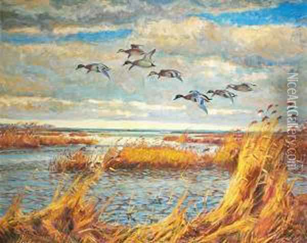 600x476 Scenery With Flying Ducks. Signed William Gislander Oil Painting - Flying Duck Painting