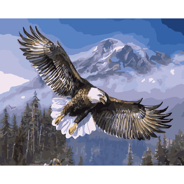 640x640 Coloring Wall Arts Pictures Flying Eagle Oil Painting By Numbers - Flying Eagle Painting