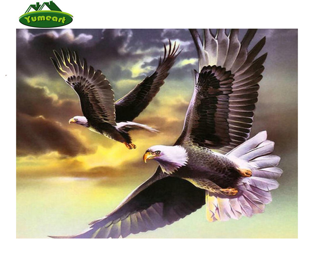 640x520 Diamond Paintings Flying Eagle Animal Picture 5d Diamond - Flying Eagle Painting